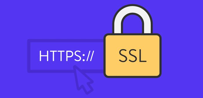 Chứng chỉ SSL là gì? Top 10 công ty bán SSL hàng đầu