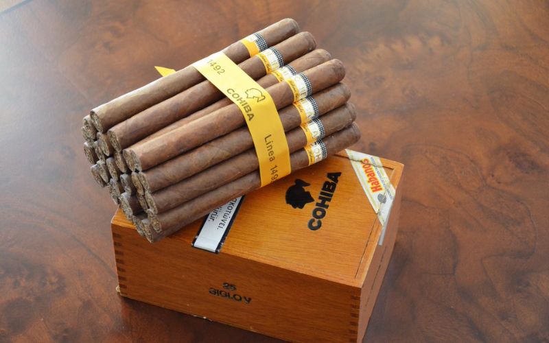 giới thiệu chung về xì gà siglo 6