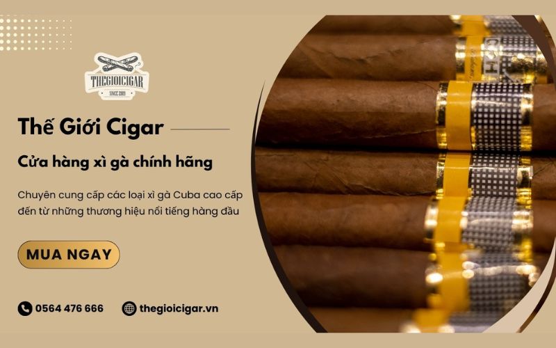 nơi mua xì gà siglo 6