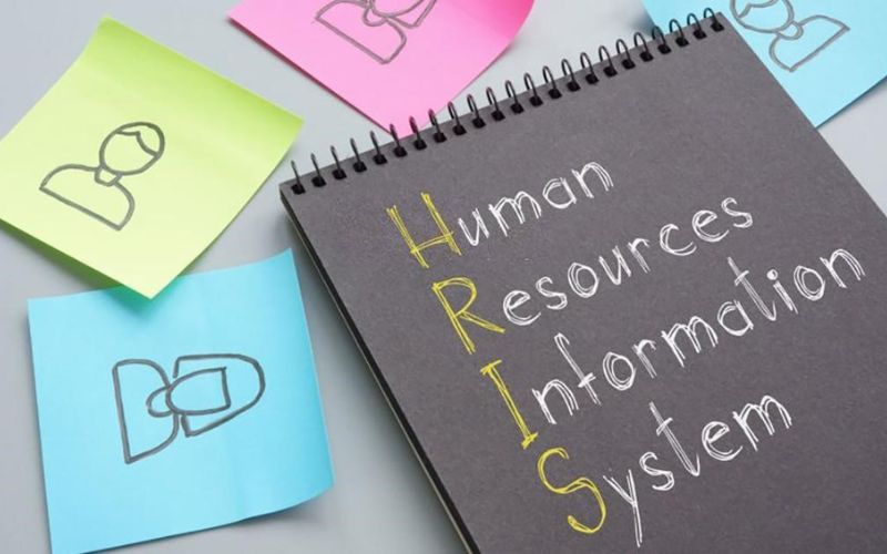 vai trò của nhân viên hr