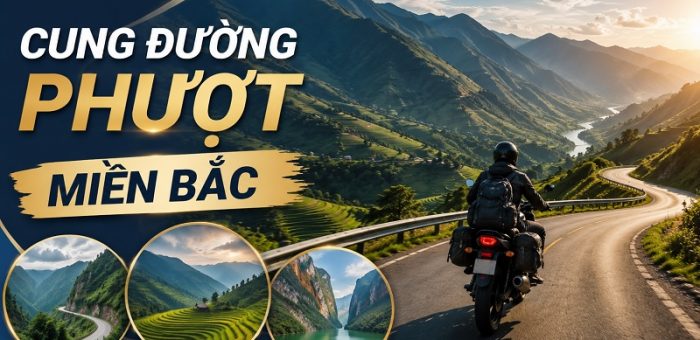 Top 8 Cung Đường Phượt Miền Bắc Hấp Dẫn Nhất Dành Cho Tín Đồ Mê Xê Dịch
